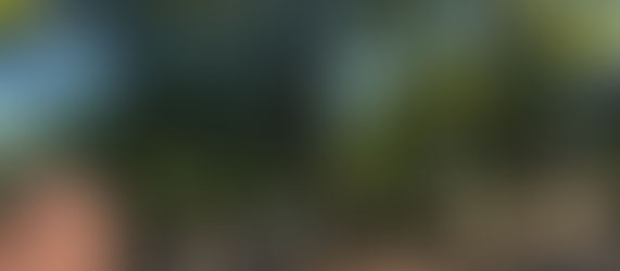 週末の佐竹選手（ホールインワンのお祝いとゴルフとつまらない映画編）