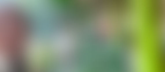 木曜日の佐竹選手（おやじゴルフ編）