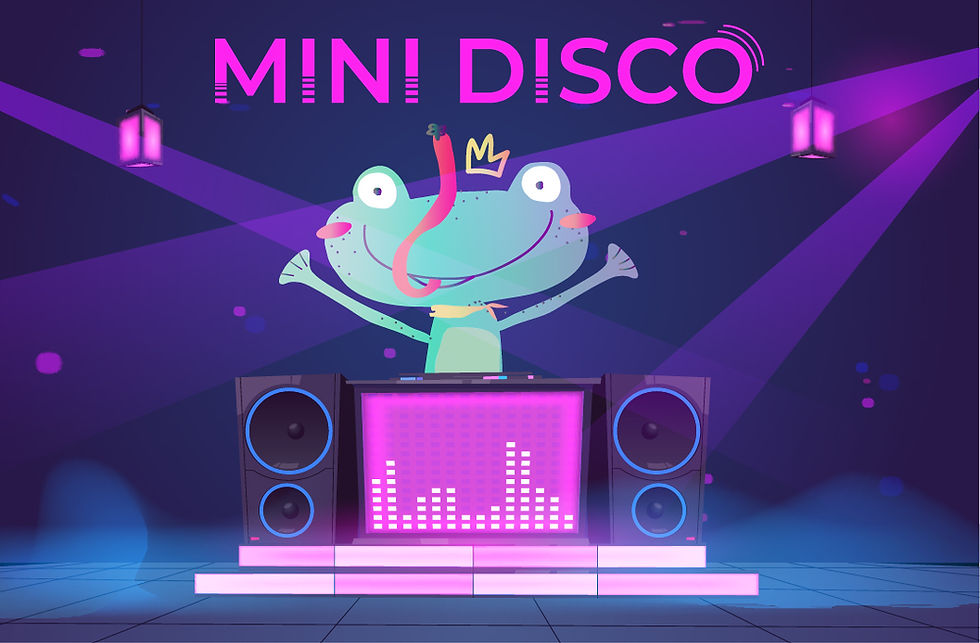 Mini Disco