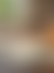 Oklahoma Concealed Carry Guide: Understanding Concealed Carry in Oklahoma County