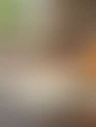 Oklahoma Concealed Carry Guide: Understanding Concealed Carry in Oklahoma County