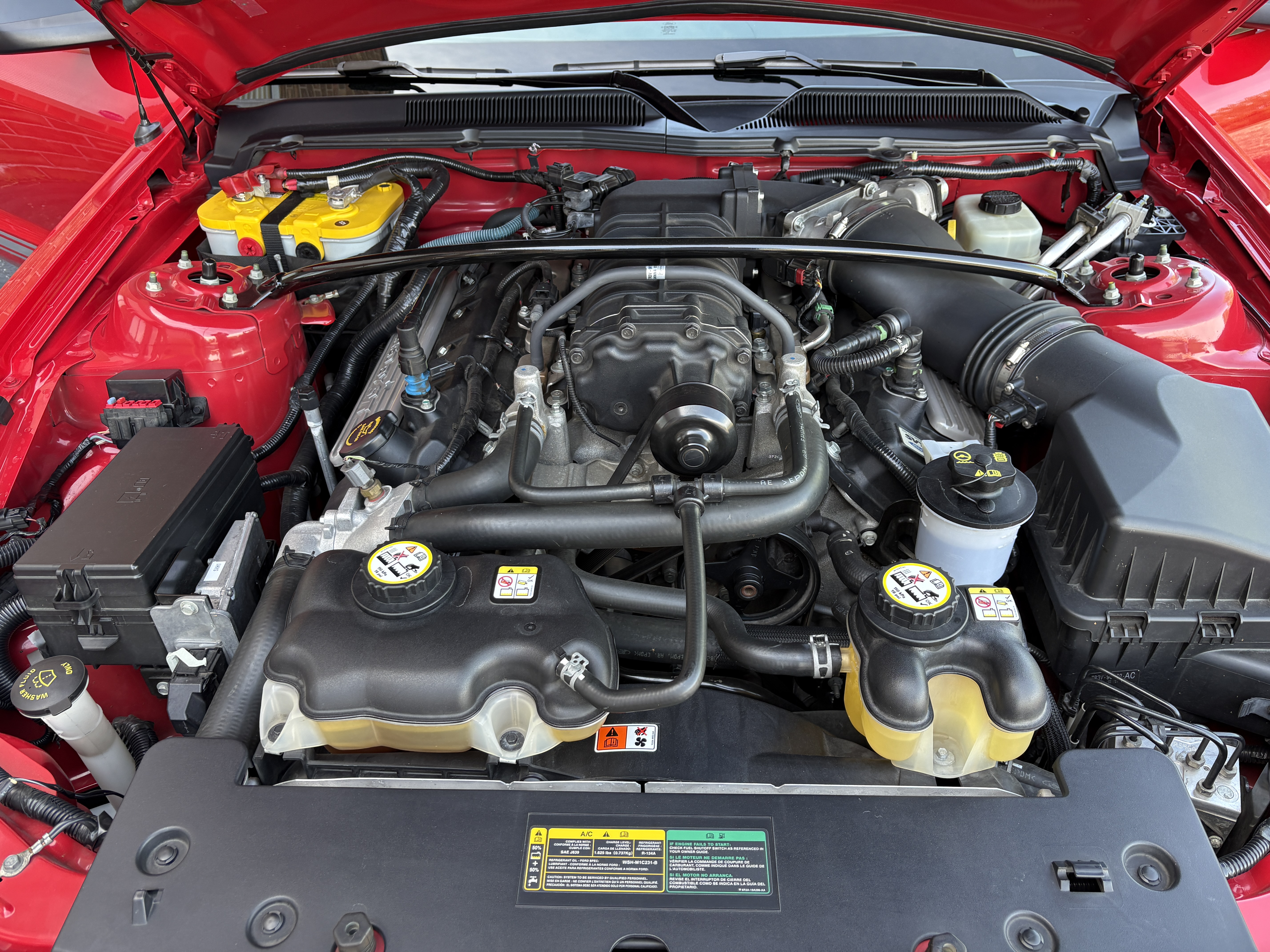 2008 Ford Mustang Shelby GT500 - Photo 9