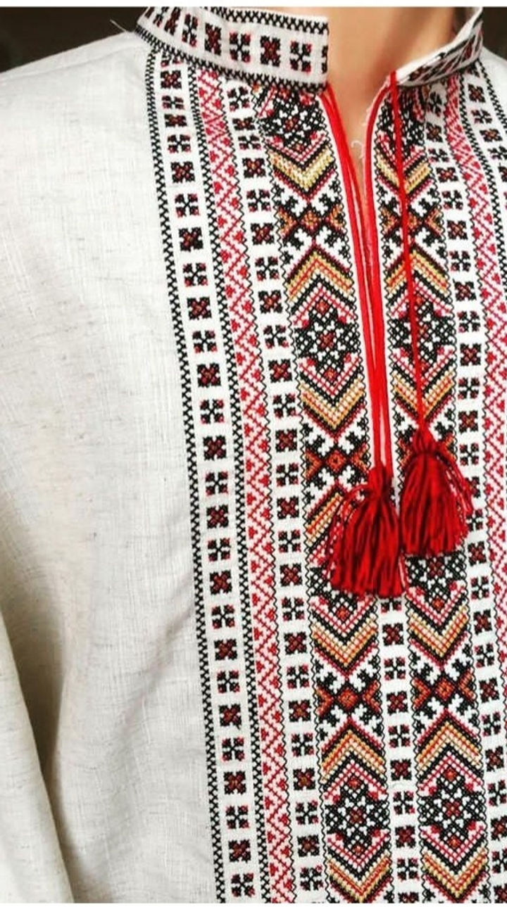 Вишиванка, чоловіча вишита сорочка "Стильна" (Арт. 03262)