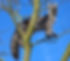 20250208_141907_edited.jpg