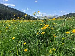 IMG_0425.jpg