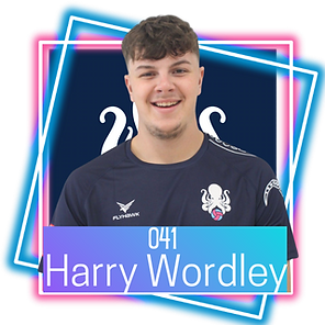 041 Harry New.png