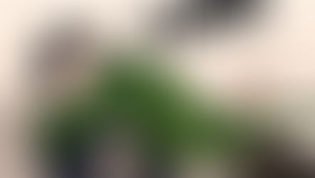 Keeper of the Pearl - cap. 14