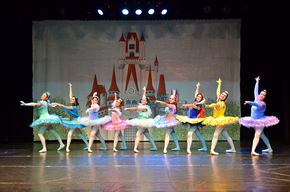 Ballet Adulto
