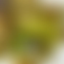 Why I am scared to eat Brussels sprouts