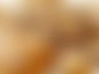 If you want bread, you have to follow the instructions