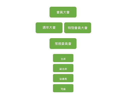 彩牛structure_edited.jpg