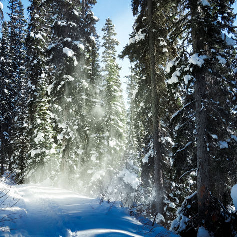 Unlocking Your Next Winter Wonderland: A Hidden Gem Awaits