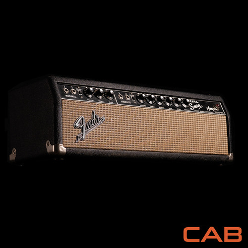 FNDR BFDSM 1966 ToneX Essential | amalgam captures