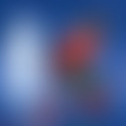 Pré-jogo: Cruzeiro x Flamengo