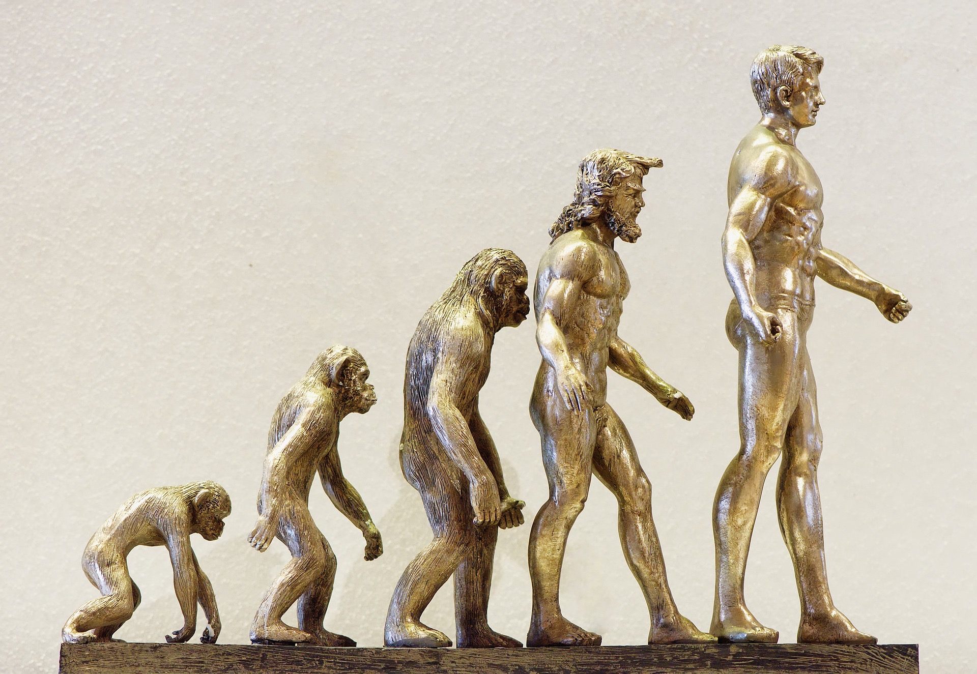 ai image of common view of evolution of man