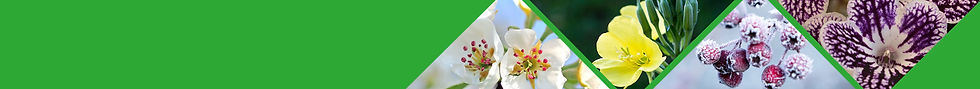 Banner_calendar_competition2025.jpg