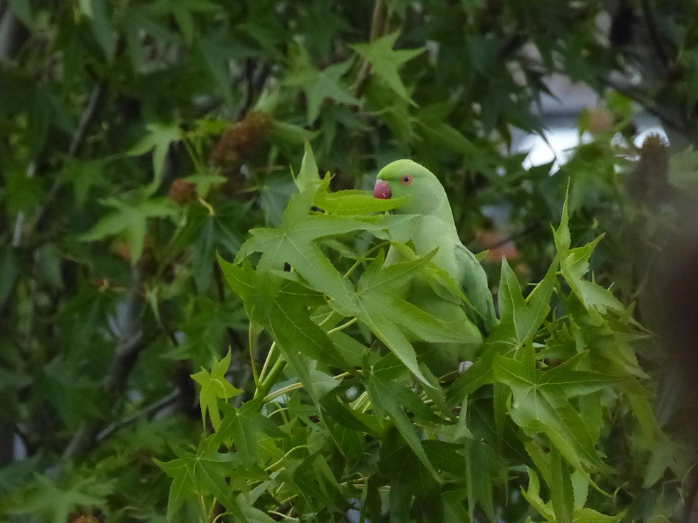 Credit: Rachel Baxter