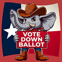 Vote Down Ballot_ Red background.jpg