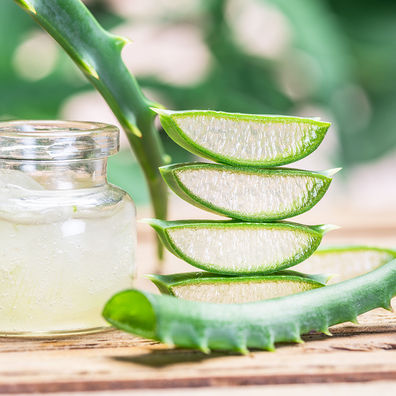 From Garden to Home Series: Aloe Vera Edition