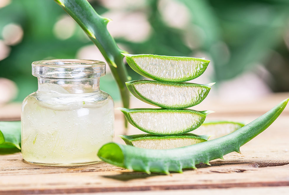 From Garden to Home Series: Aloe Vera Edition