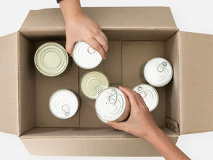 The Future of Logistics: Why Pallet Rental Services Are Growing