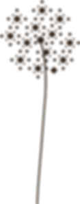 AVA -82.png