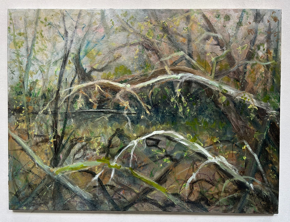 Thumbnail: Where The Deer Stood (2023)