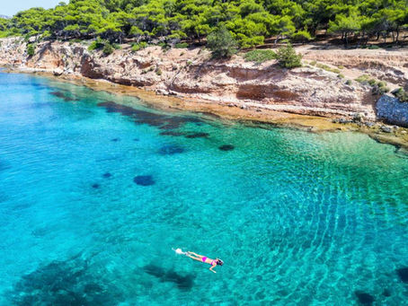 Aegina (Egina): il Giardino dei Pistacchi (Saroniche)