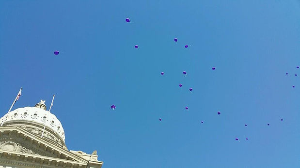 baloons over capital RR15.jpg