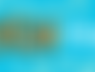 2023 בקהילת הוולטרים: מסכמים שנה