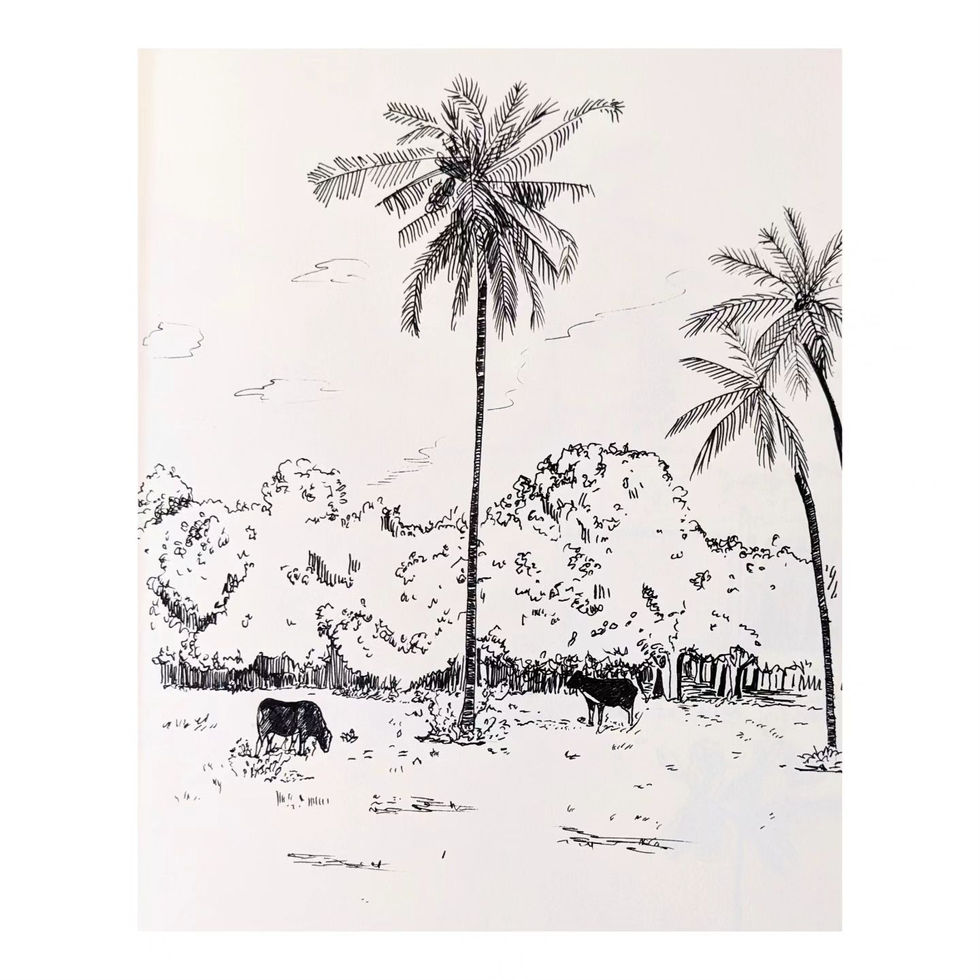illustration de Vaches tropicales (non elles ne font pas de lait de coco)