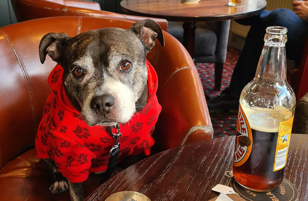 In the pub, her happy place