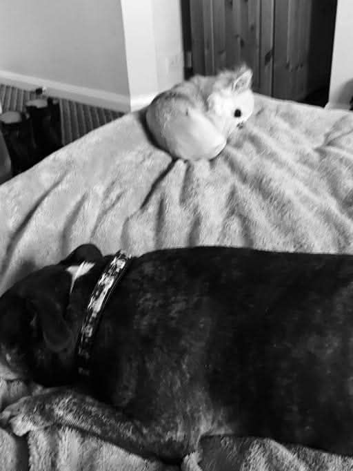 Mya and Tiber in Stratford. Obviously knackered after all that Shakespeare and culture and stuff.