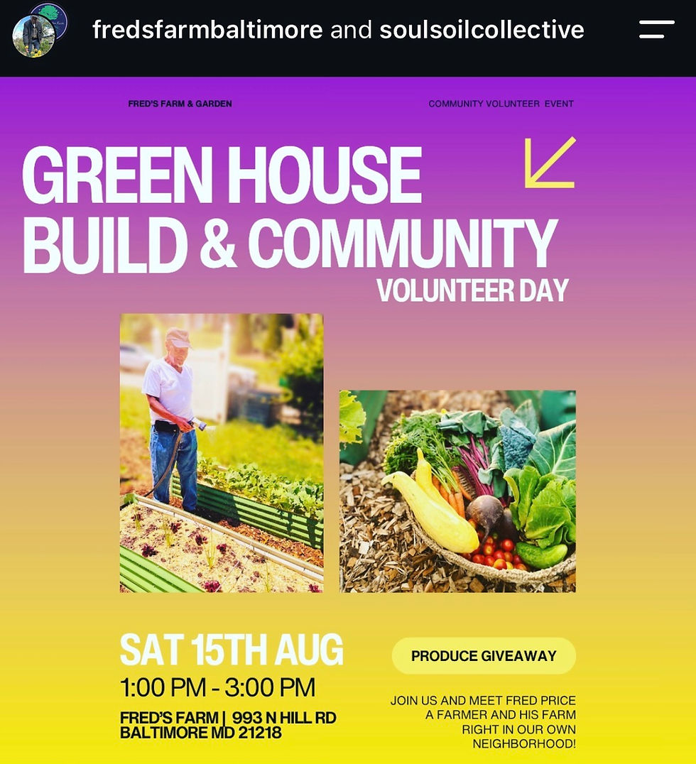 Fred's Farm Greenhouse Build