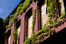 historic-restoration-replacement-window-installation-senior-apartment-mckinley-milwaukee-wisconsin