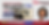 SHC Banner (May).png