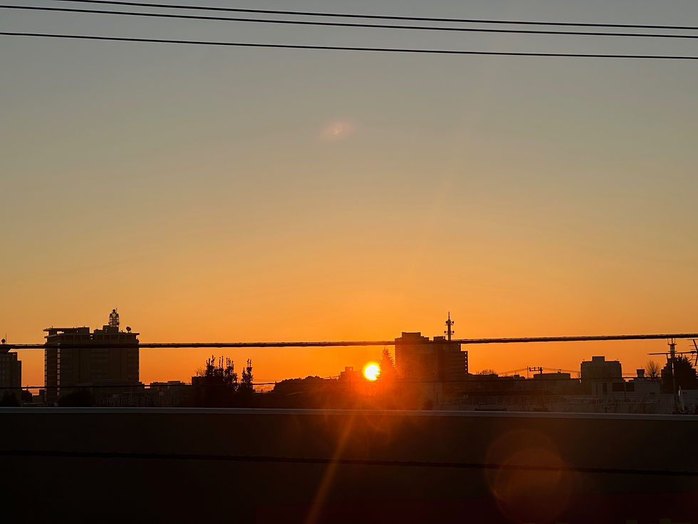 事務所3階からの2025年元旦初日の出！