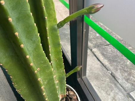 【親は子を想い子は親を想うを知る】