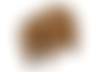 【宇都宮でも身近な恐怖になる可能性も⁉】