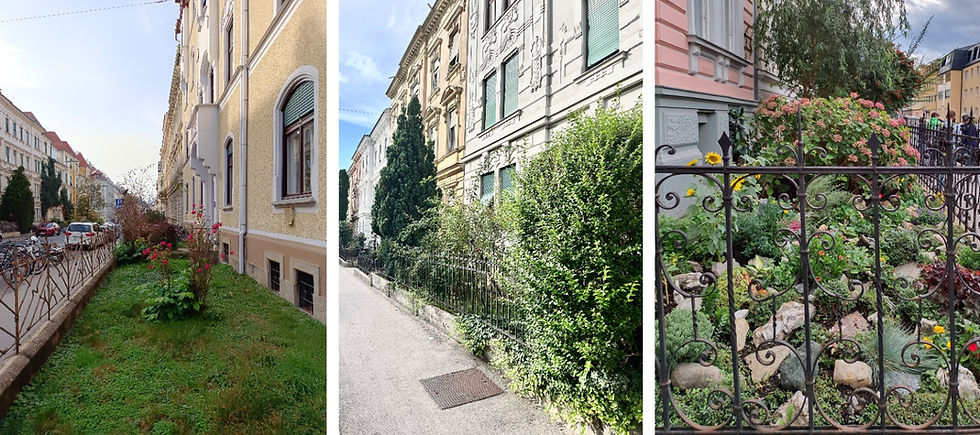 WhatsApp Image 2026-03-30 at 09.55.01.jpeg