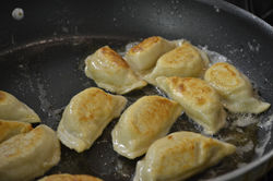 Pan-fried Pierogi