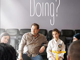 TV PILOT: HOW AM I DOING?