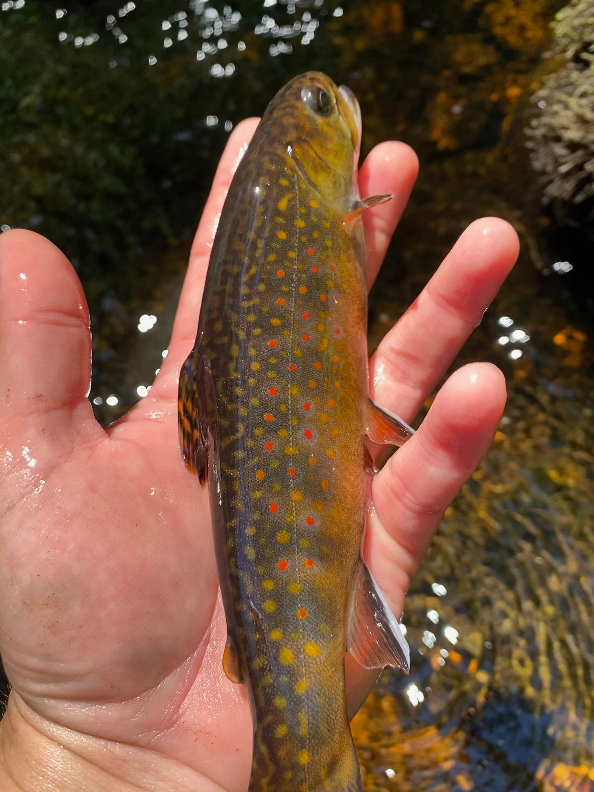 Rhode Island, Arcadia Management  Area, July 2022