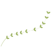 vine graphic