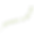Branch