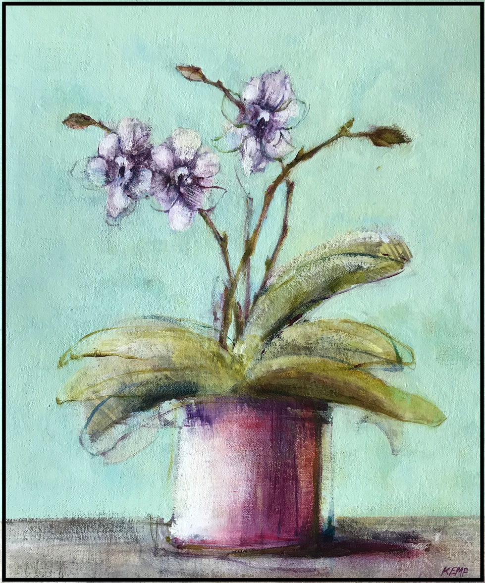 14. Orchid with a Blue Background.JPG