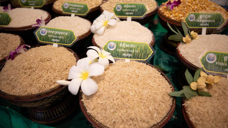 Cambodia’s Malis Angkor Rice Wins World’s Best Rice Award for the Sixth Time