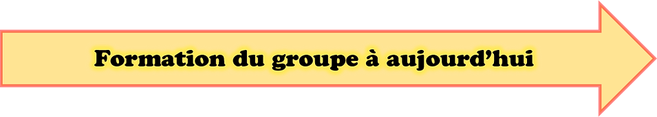 Formation de Tumblewings