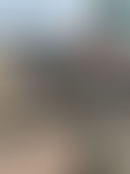 Revolutionize Your Strip-Till Operations with the Visum Strip Till System