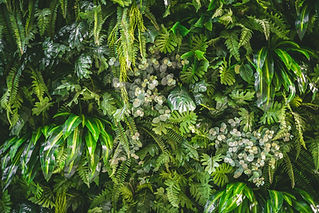 AdobeStock_271546502.jpeg